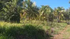 Foto 16 de Fazenda/Sítio com 2 Quartos à venda, 60500m² em Recreio Campestre Idanorma, Araraquara
