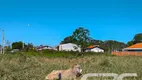 Foto 5 de Lote/Terreno à venda, 449m² em Praia do Ervino, São Francisco do Sul