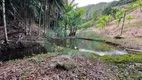 Foto 8 de Fazenda/Sítio com 2 Quartos à venda, 30000m² em Santa Maria de Marechal, Marechal Floriano