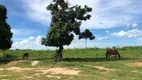 Foto 4 de Fazenda/Sítio à venda em Zona Rural, Jaíba