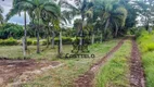 Foto 2 de Fazenda/Sítio com 3 Quartos à venda, 5m² em Zona Rural, Londrina