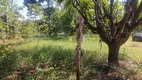 Foto 4 de Fazenda/Sítio com 4 Quartos à venda, 2500m² em Cidade Jardim, Esmeraldas