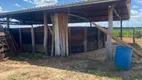 Foto 14 de Fazenda/Sítio à venda, 1130000m² em Centro, Salinas