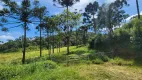 Foto 79 de Fazenda/Sítio com 5 Quartos à venda, 435600m² em Campo Alto, Tijucas do Sul