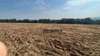 Foto 17 de Fazenda/Sítio à venda, 20000m² em Bom Retiro, Porto Feliz