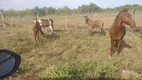 Foto 8 de Lote/Terreno à venda, 140000m² em Distrito Industrial, Cuiabá