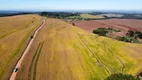 Foto 7 de Fazenda/Sítio com 1 Quarto à venda, 5000m² em Centro, Chapecó