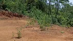 Foto 7 de Fazenda/Sítio à venda, 1000m² em Vivendas Santa Monica, Igarapé