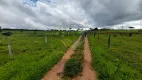 Foto 45 de Fazenda/Sítio com 4 Quartos à venda, 40m² em Centro, Prata