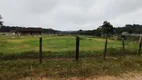 Foto 27 de Fazenda/Sítio à venda, 6500m² em Cachoeira, São José dos Pinhais