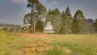 Foto 11 de Casa de Condomínio com 4 Quartos à venda, 395m² em Alphaville Lagoa Dos Ingleses, Nova Lima