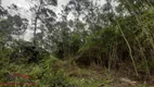 Foto 5 de Lote/Terreno à venda, 20000m² em Linha Imperial, Nova Petrópolis