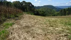 Foto 3 de Fazenda/Sítio com 1 Quarto à venda, 166594m² em Galópolis, Caxias do Sul