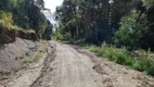 Foto 30 de Fazenda/Sítio à venda, 448000m² em Pedra Branca, Alfredo Wagner