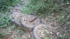 Foto 3 de Fazenda/Sítio à venda, 80000m² em Zona Rural, São Thomé das Letras