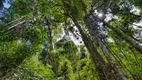 Foto 31 de Fazenda/Sítio com 3 Quartos à venda, 80000m² em Visconde de Mauá, Resende