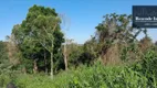 Foto 6 de Fazenda/Sítio à venda, 5541m² em Jardim Boa Vista, Campo Magro