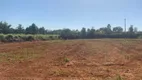 Foto 9 de Fazenda/Sítio com 3 Quartos à venda, 15000m² em Jardim Vila Boa, Goiânia