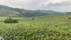 Foto 22 de Fazenda/Sítio com 4 Quartos à venda, 5000m² em Zona Rural, Serra Negra