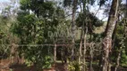 Foto 37 de Fazenda/Sítio com 5 Quartos à venda, 800m² em Monte Alegre, Vinhedo