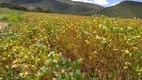 Foto 10 de Fazenda/Sítio à venda, 2200m² em , Brasília de Minas