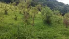 Foto 2 de Lote/Terreno à venda, 49000m² em Zona Rural, Camanducaia