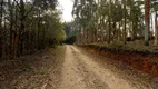 Foto 2 de Fazenda/Sítio à venda, 20000m² em Zona Rural, Campina Grande do Sul