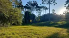 Foto 8 de Lote/Terreno à venda, 1060m² em Rondinha, Campo Largo