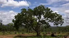 Foto 5 de Lote/Terreno à venda, 20000m² em Centro, Jequitibá