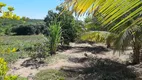 Foto 13 de Fazenda/Sítio com 2 Quartos à venda, 10000m² em Area Rural de Montes Claros, Montes Claros