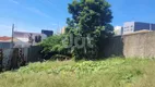 Foto 12 de Lote/Terreno para alugar, 350m² em Jardim Cura D'ars, Campinas