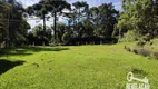 Foto 28 de Fazenda/Sítio com 2 Quartos à venda, 70m² em Campo Largo da Roseira, São José dos Pinhais