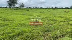 Foto 4 de Fazenda/Sítio com 2 Quartos à venda, 774400m² em Zona Rural, Petrolina de Goiás