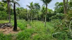 Foto 17 de Fazenda/Sítio com 4 Quartos à venda, 250m² em Rio da Areia Bacaxa, Saquarema