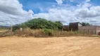 Foto 13 de Lote/Terreno à venda, 300m² em Muriti, Crato