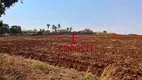 Foto 10 de Fazenda/Sítio com 1 Quarto à venda, 78704m² em Zona Rural, Brodowski