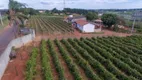 Foto 6 de Fazenda/Sítio com 3 Quartos à venda, 20000m² em Reforma Agraria, Valinhos