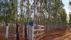 Foto 2 de Fazenda/Sítio com 2 Quartos à venda, 14000m² em Zona Rural, Terenos