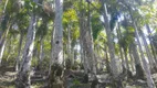 Foto 116 de Fazenda/Sítio com 2 Quartos à venda, 300000m² em Zona Rural, Pariquera-Açu