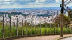 Foto 5 de Lote/Terreno à venda, 856m² em Belvedere, Belo Horizonte