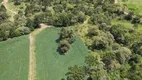 Foto 15 de Fazenda/Sítio à venda, 50000m² em Centro, Campo Alegre