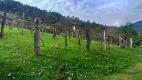 Foto 2 de Fazenda/Sítio com 2 Quartos à venda, 100m² em , Canela