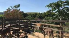 Foto 19 de Fazenda/Sítio com 4 Quartos à venda, 310000m² em , Rio Casca