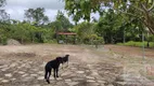 Foto 27 de Fazenda/Sítio com 3 Quartos à venda, 18m² em Zona Rural, Cocalzinho de Goiás