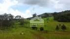 Foto 14 de Fazenda/Sítio com 8 Quartos à venda, 854000m² em Centro, Carvalhos