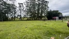 Foto 42 de Fazenda/Sítio com 3 Quartos à venda, 16000m² em Vila Rica, Criciúma