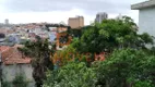 Foto 7 de Lote/Terreno à venda, 680m² em Vila Constança, São Paulo