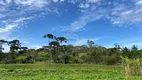 Foto 3 de Lote/Terreno à venda, 1060m² em Vila Conceicao, Campo Largo