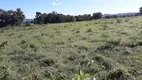 Foto 25 de Fazenda/Sítio à venda, 40000m² em Zona Rural, Araguapaz