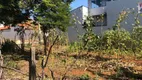 Foto 5 de Lote/Terreno à venda, 350m² em Jardim Regina, Indaiatuba